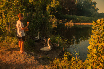 Abend auf dem See / ***