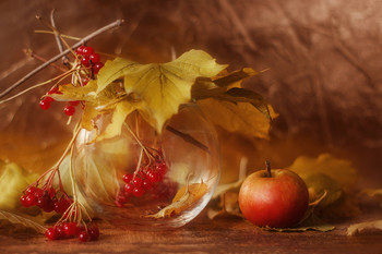 In a fairy tale / ***