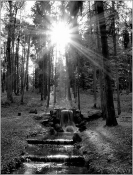 waterfall / [img]https://i.imgur.com/peNGq5S.jpg[/img][img]https://i.imgur.com/nQmiCfT.jpg[/img]