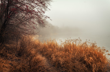 Mist Trail / http://www.youtube.com/watch?v=j1Ck42-_btY