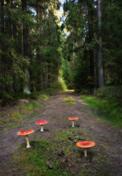 Magnificent Four / 2021