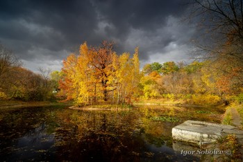 Autumn in Sokolniki / ***