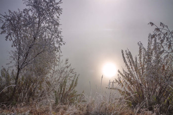Foggy morning / ***