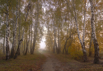 October came / ***
