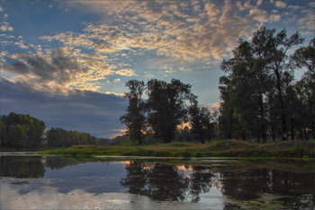 Under the clouds / ***