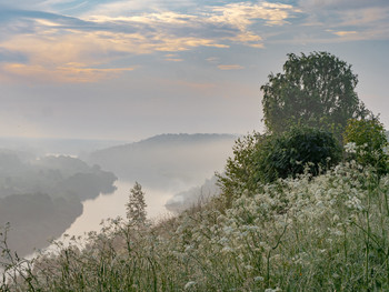 Fog dissipates / ***