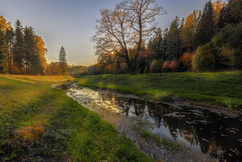 at sunset / ***