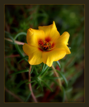 &nbsp; / [img]https://i.imgur.com/vjOZ5ab.jpg[/img]