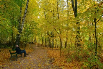 Im Herbst Park / ***