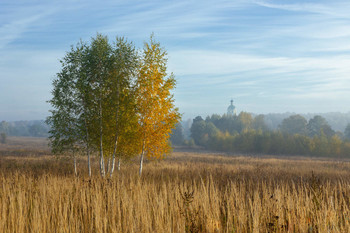 Sunny October / ***