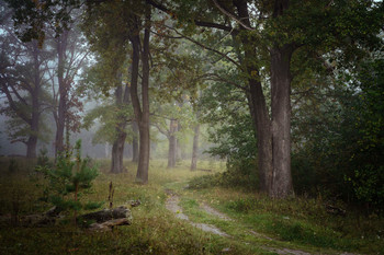 The first days of autumn / ***