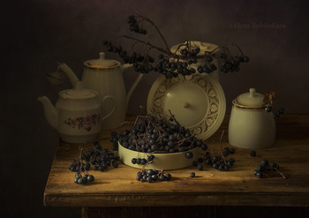 Black mountain ash / ***