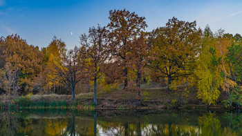 Autumn colors. / ***