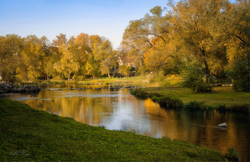 Autumn Gold / ***