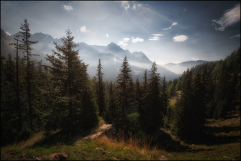 Bergherbst / Engadin