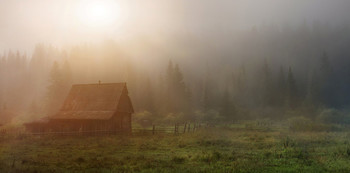 Foggy morning / ***