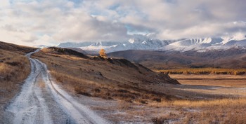 Auf den Straßen des Altai / ***