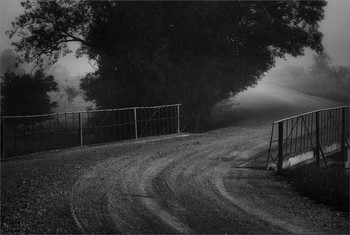 Fog dissipates / ***