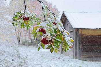 Der Winter kommt / ***