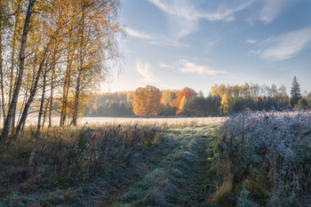 Autumn morning 2 / ***