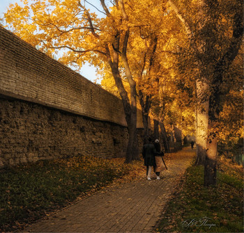 Autumn walk / ***