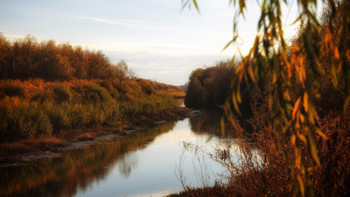 ROAD TO THE TEMPLE / ***