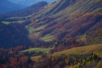 colors of autumn / ...