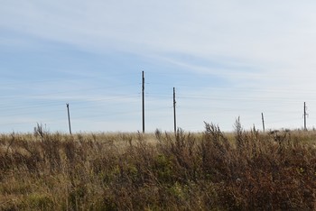 Wasteland / ***