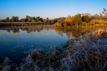 Autumn / ***