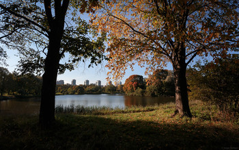 Im Herbst des Parks ... / ***