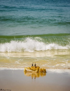 Crab / ***