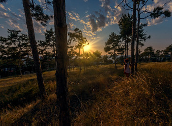 Sunset / ***