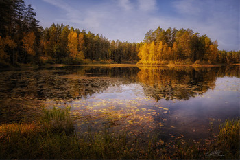 colors of autumn / ***