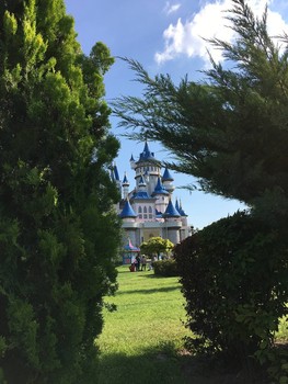 Castle / castle