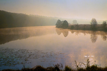 Cold morning. / ***