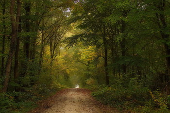 In the autumn / ***