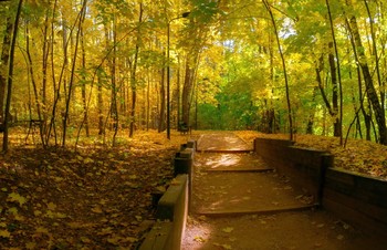 In autumn park / ***