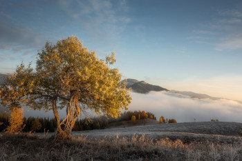 Autumn in the Carpathians / ***