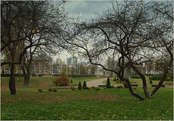 Herbst / [img]https://i.imgur.com/6VGZKaB.jpg[/img]