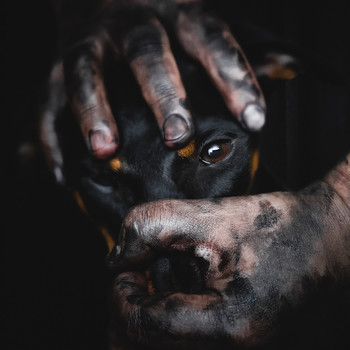  / ***