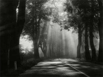 Fog dissipates / ***