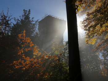 der Wald, der Turm und das Licht / auf dem Weg zum Rodeneckturm über der Stadt Höxter
