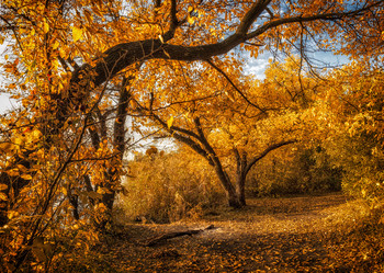 In late October / http://www.youtube.com/watch?v=ffmJix7F0RQ