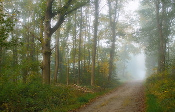 colors of autumn / ***