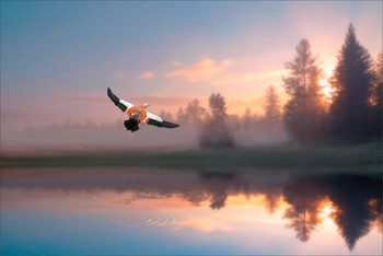 Encountering dawn / ***