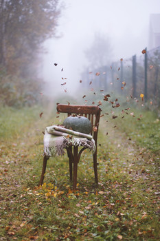 Foggy morning ... / .................