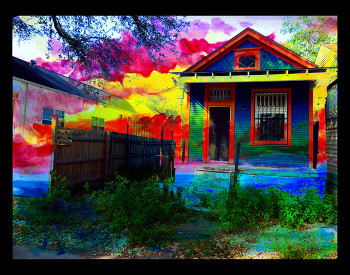 Lucy in the Sky / An energetic neighborhood in New Orleans