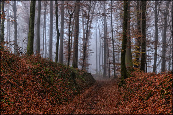 Herbstfarben / ***