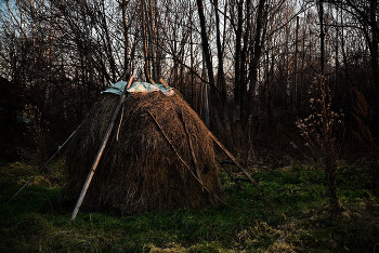 Rustic / ***