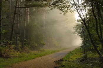 Morgennebel / ***
